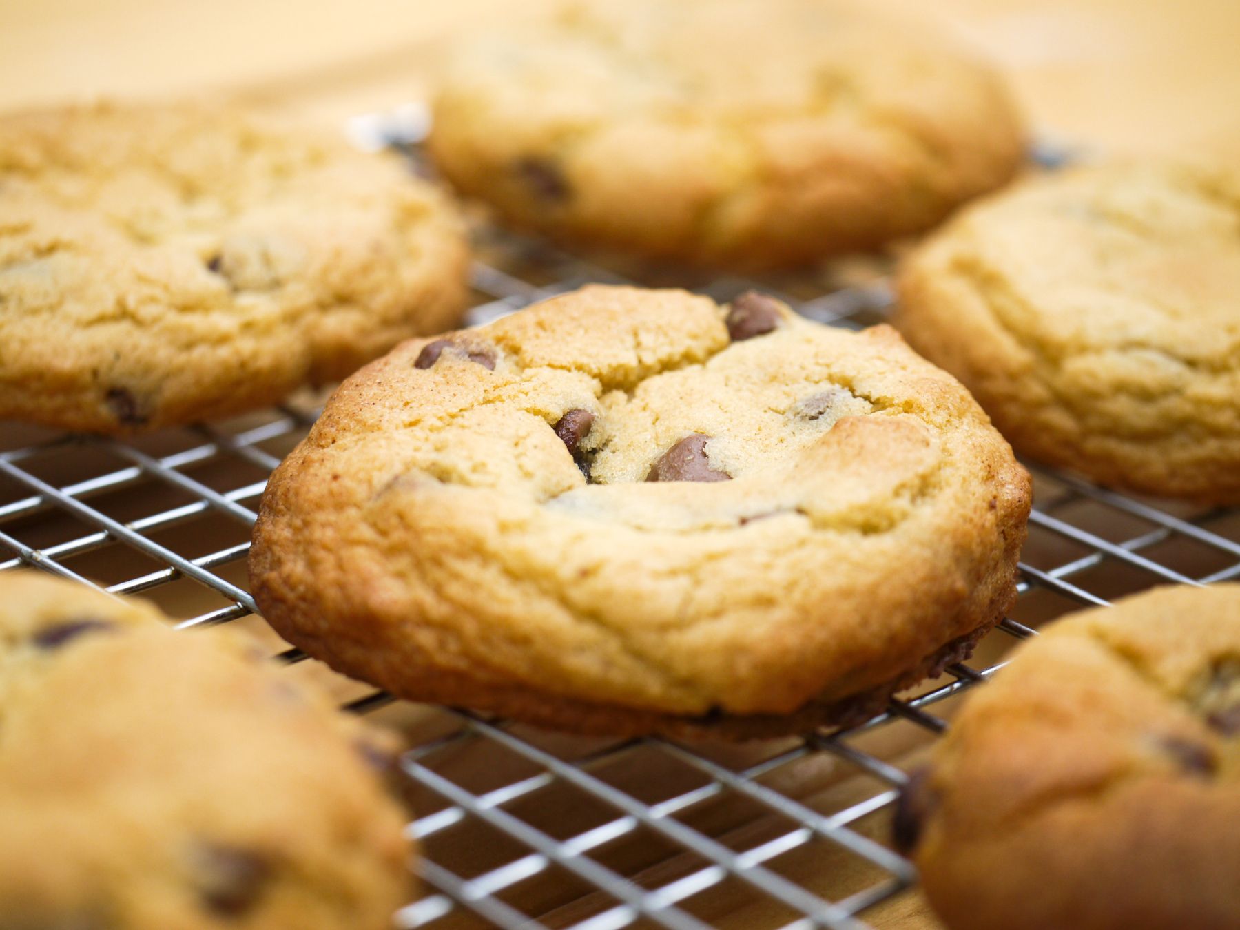 Brown butter chocolate chip cookies